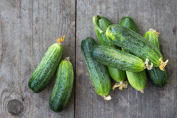 fresh young cucumbers