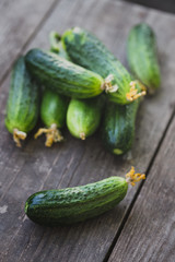 fresh young cucumbers