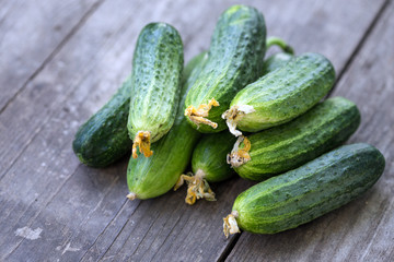 fresh young cucumbers