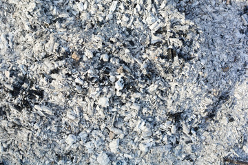 Texture of the ashes. Natural gray background of burnt wood. Burnt coals.