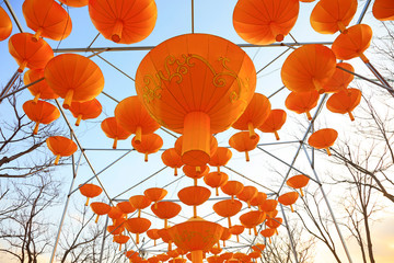 red Chinese lanterns in the park