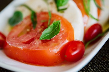 Fresh Mozzarella Cheese and Tomato Caprese Salad