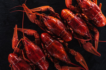 top view of red lobsters on black surface