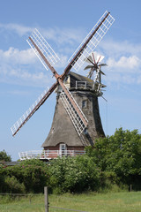 Plakat Windmühle in Oldsum auf Föhr