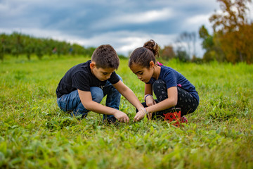 kids playing with grasshopper