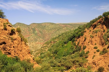 Fototapeta na wymiar Panoramic view into red Ourika valley with red mountains and green plants - Morocco