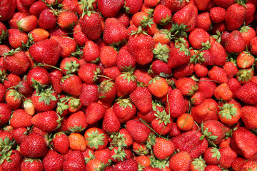 fresh strawberries on the market