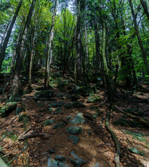 Wanderung Mühlriegel und Ödriegel im bayerischen Wald