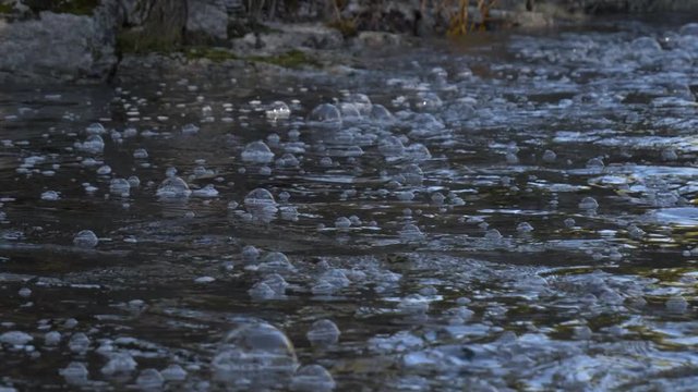 Tilt up slow motion shot of a river with pomps in the woods in Norway.