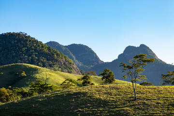 Green mountain with trees and blue sky