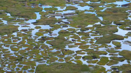 CLOSE UP: Detailed view of small freshwater ponds scattered around the crater