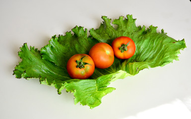 Leaf lettuce with tomatoes