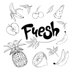 Set of hand drawn doodle fruits. Fresh and tasty food. Collection of design elements