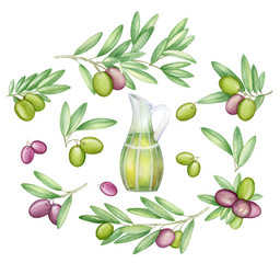 Olives set. with olive branches and fruits for Italian cuisine design or extra virgin oil food or cosmetic product packaging wrapper. Hand drawn. Watercolor.