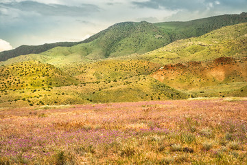 Fototapeta premium A beautiful spring day in the mountains. A stunning landscape of the mountains of Armenia.