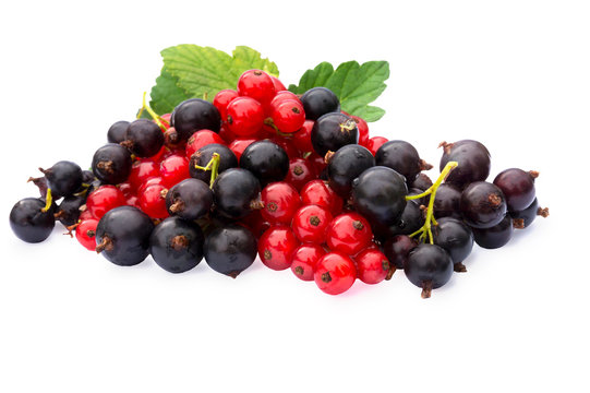 Collection of berries. Fresh  red and black currants isolated on white background. Bright summer treat.