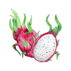 Hand painted watercolor fruit.