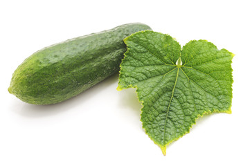 One fresh cucumber.