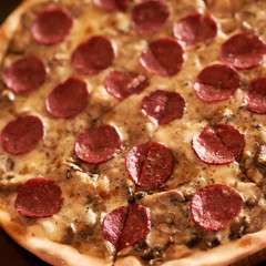 pizza with salami and cheese