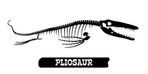Skeleton of a fossil waterfowl dinosaur. Pliosaur. Vector