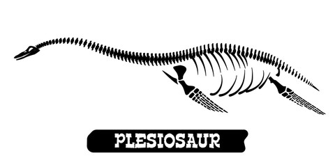 Skeleton of a fossil waterfowl dinosaur. Plesiosaur. Vector