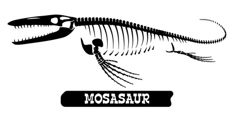 Skeleton of a fossil waterfowl dinosaur. Mosasaur. Vector