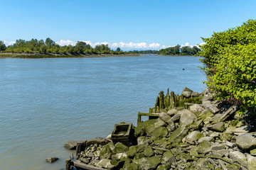 Fototapeta na wymiar rocky river bank on a sunny day with green trees on the edge and forest covered island on the other side of the river