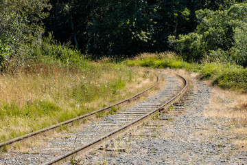 a curved railway tracking lead straight into the forest on the far end on a sunny day. 