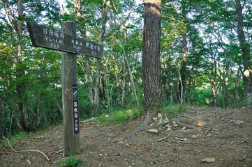 府駒山山頂と三角点