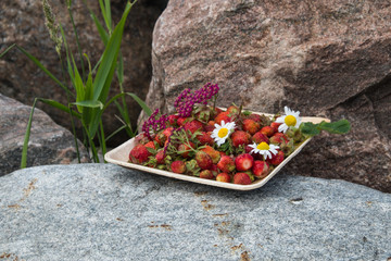 Fresh red strawberries in a wooden plate. Strawberry is a source of vitamin C. This berry is a natural aphrodisiac. Collage with wildflowers on the background of natural granite stone.