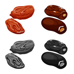 Vector design of food and raw icon. Collection of food and nature stock vector illustration.
