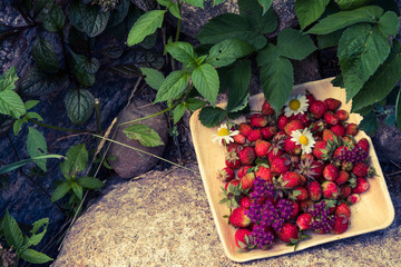 Fresh red strawberries in a wooden plate. Strawberry is a source of vitamin C. This berry is a...