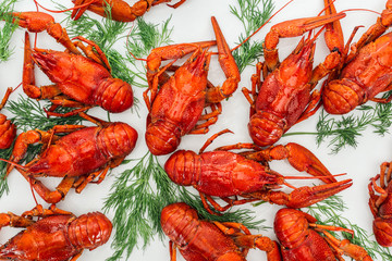 top view of red lobsters and green herbs on white background