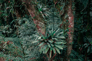 Green Landscape #4