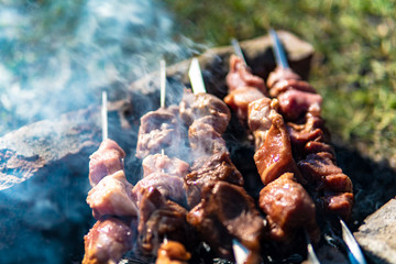 Meat on coals in nature