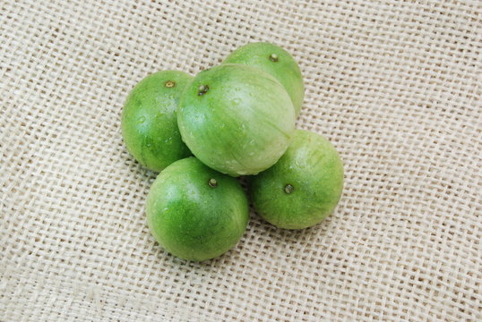 umbu