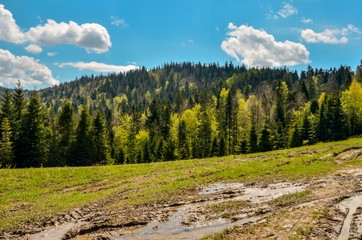 Obraz premium Beautiful spring mountain landscape. Green meadows and forests on the hills.