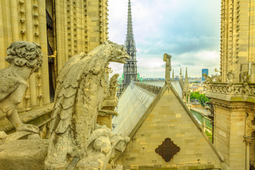 The gargoyles of Notre Dame Cathedral (Our Lady of Paris) and aerial view over the Paris skyline, Paris, France