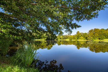 Schwanenteich im Schlosspark Putbus auf Rügen