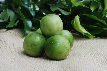 umbu