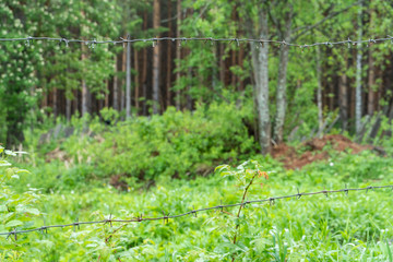 Barbed wire near the forest. Something strange and terrible is happening. You can not enter the territory.