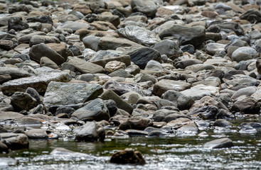 Large stones on the banks of a mountain river.