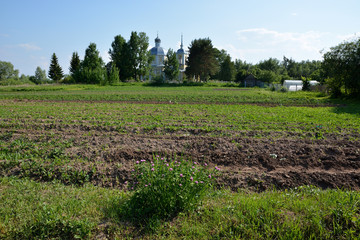 Fototapeta na wymiar A field with agricultural plantings and an orthodox church in a rural area. Sergovo Lazarus Righteous Church