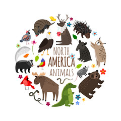 Cartoon character animals of America, printable vector banner design