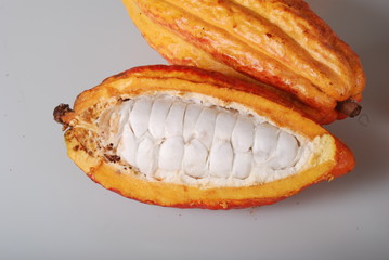 cocoa brazil