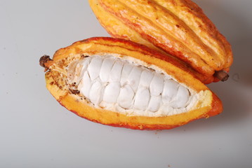 cocoa brazil