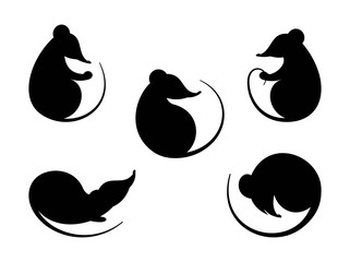 Rat. Black silhouette. Set  different silhouettes  rats and mice. Symbol  Chinese New Year, animal rodent. Isolation. Vector