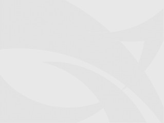 Background Pattern Wallpaper