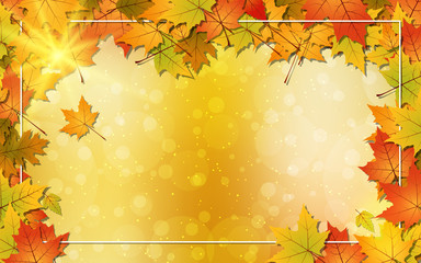 Autumn style vector background with colorful leaves