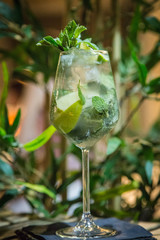 mojito